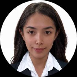 Virtual Assistant