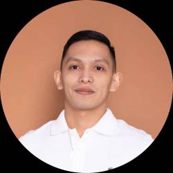 IT Professional
