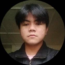 Web Developer / WordPress SEO
