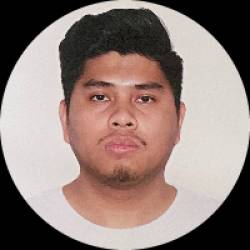 Professional Data Analyst