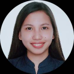 Account Receivable Analyst