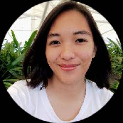 Administrative virtual assistant and bookkeping virtual assistant