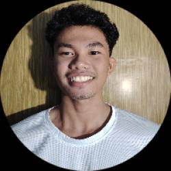 Website Developer and Website Designer