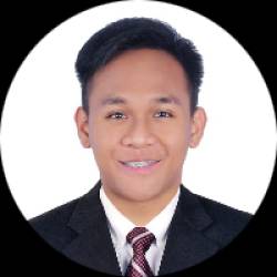 Process Analyst and Project Manager