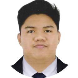 Information Technology Profesional