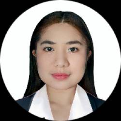 Medical Virtual Assistant; Nurse