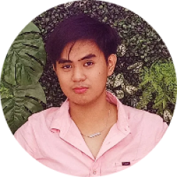 Customer Support | Web Dev | AI Generation