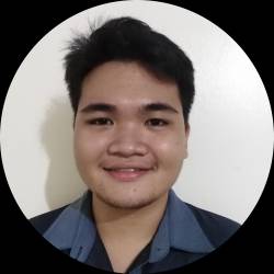 Content Writer