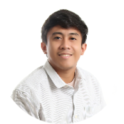 IT Program Lead