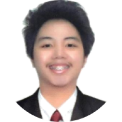 Previous Business Analyst