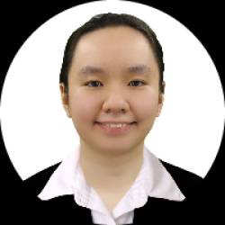 Online Business Owner