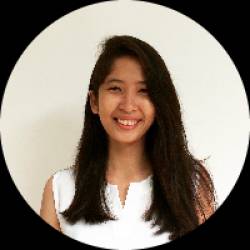 Website Builder/Social Media Manager