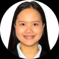 Civil Engineer