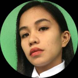 Facebook Ads/Social Media Manager