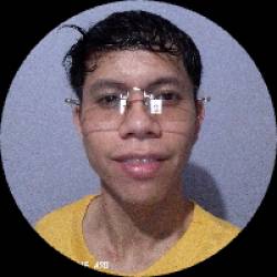 Data Analyst