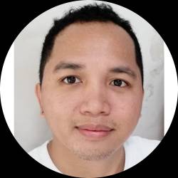 Software Developer