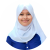 Virtual Assistant