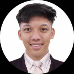 Multimedia Artist