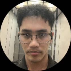 Software Developer