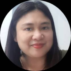 Virtual Assistant / Business Analyst