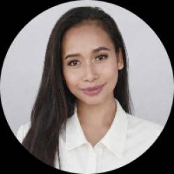 Corporate Travel Expert or Strategist