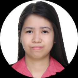 Virtual Assistant / Civil Engineer