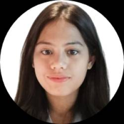 Customer Support Virtual Assistant