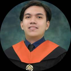 IT and Business Process Analyst