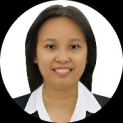 Civil Engineer