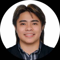 WordPress Developer