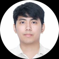 Test Engineer