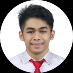 ServiceNow Developer