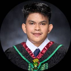 Embedded Systems Engineer