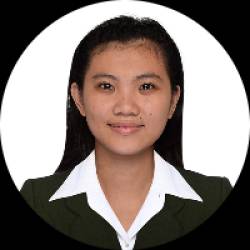Registered Electrical Engineer