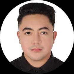 Customer Service Analyst