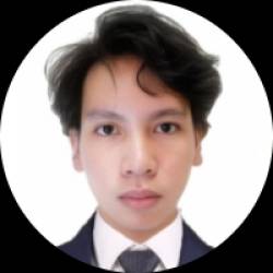 AI, Analytics, Automation, and Software Developer