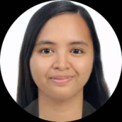 Licensed Civil Engineer