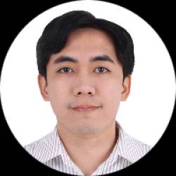 IT Project Manager