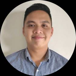 Remote Electrical Engineer