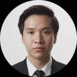 Software Developer