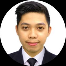 IT Professional