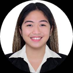 Civil Engineer