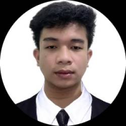 Executive Virtual Assistant