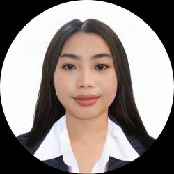 PROFESSIONAL VIDEO EDITOR