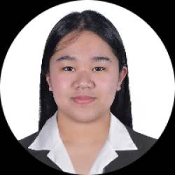 Civil Engineer