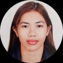 Civil Engineer