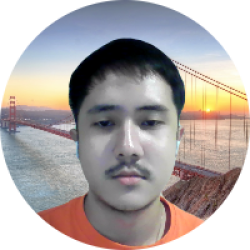 Senior Data Analyst