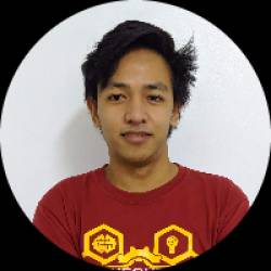 Webflow/Wix/Senior WordPress Developer