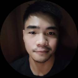 IT Audit Support