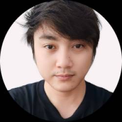 C# Programmer